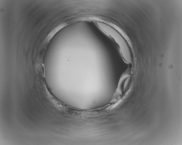 X0000080110905200701051326