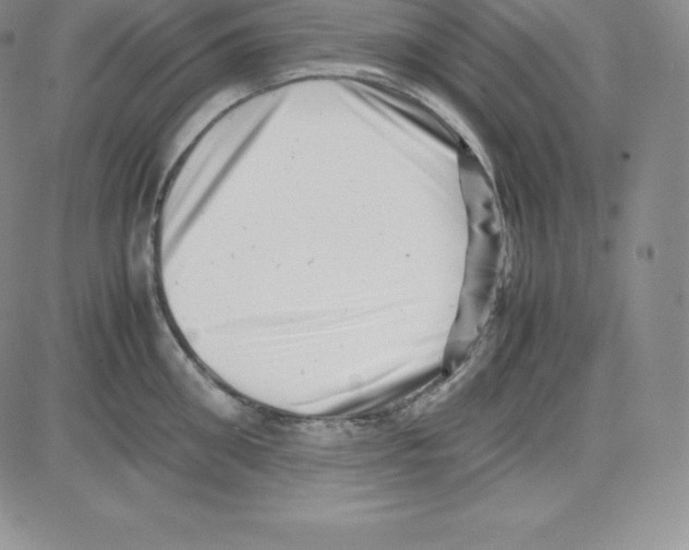 X0000080110906200701051326