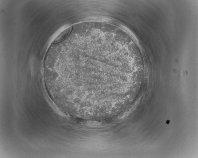 X0000080110907200701051326