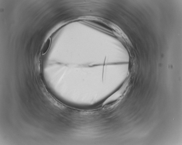 X0000080110908200701051326