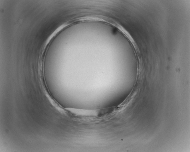 X0000080110909200701051326