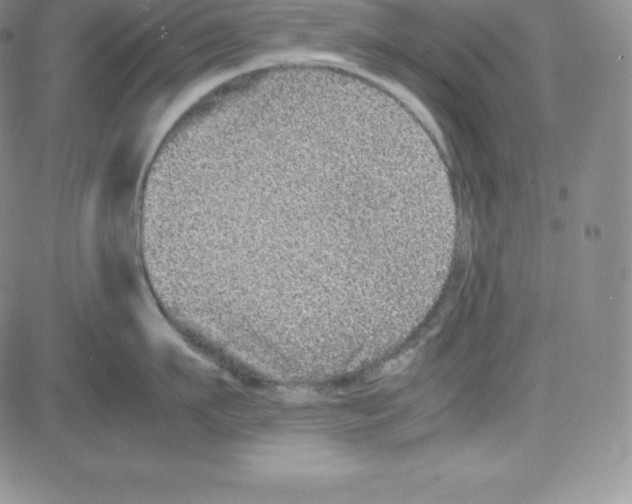 X0000080110911200701051326