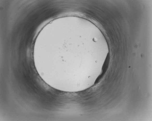 X0000080110912200701051326