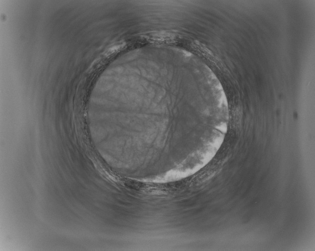 X0000080110913200701051326