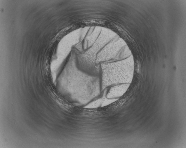 X0000080110915200701051326