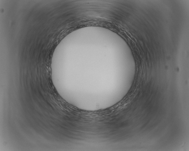 X0000080110916200701051326