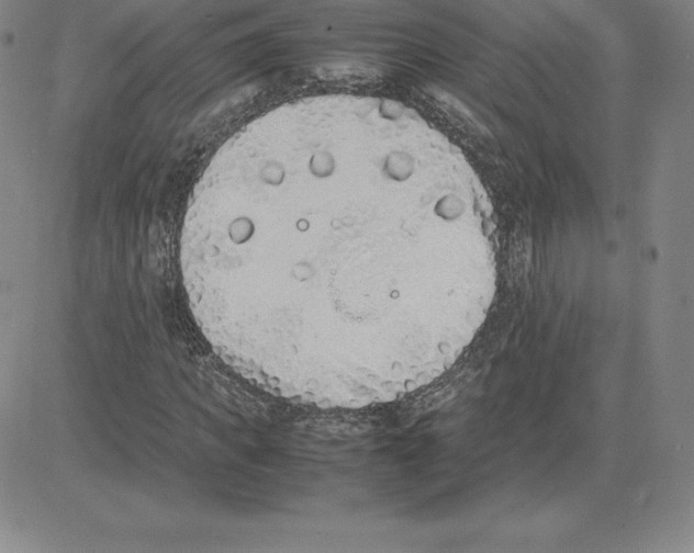 X0000080110917200701051326