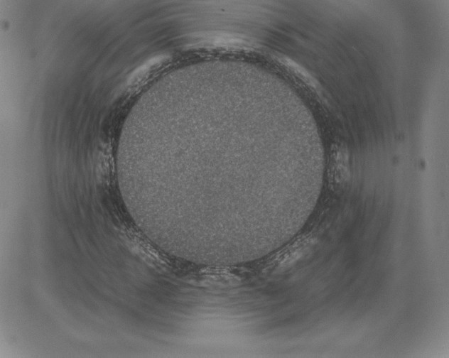 X0000080110918200701051326