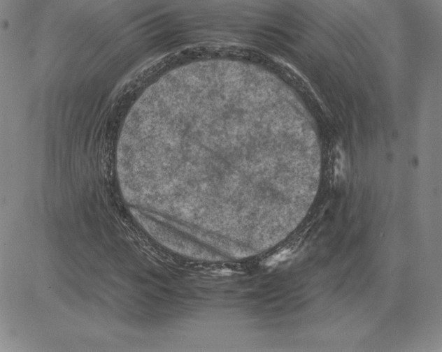 X0000080110919200701051326