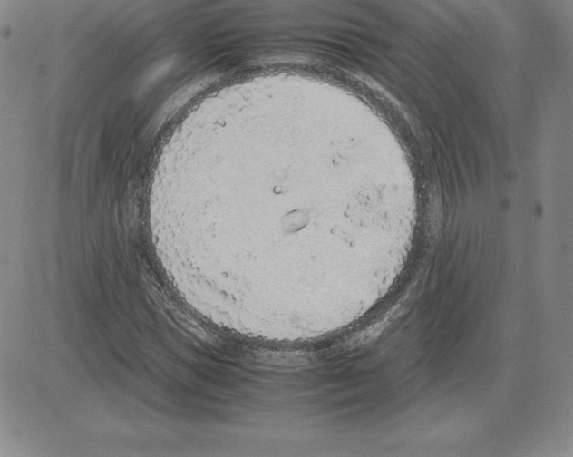 X0000080110921200701051326