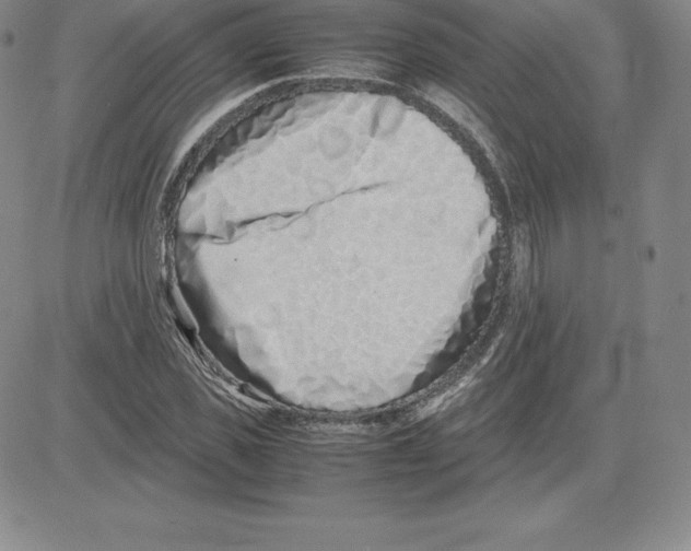 X0000080110925200701051326