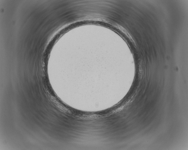 X0000080110926200701051326