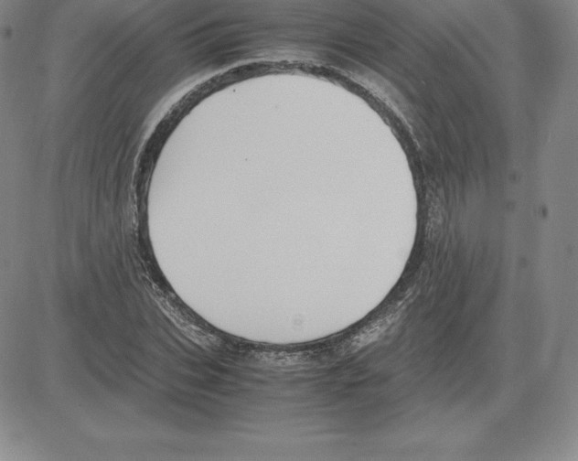 X0000080110927200701051326