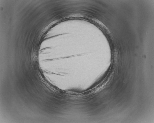 X0000080110929200701051326