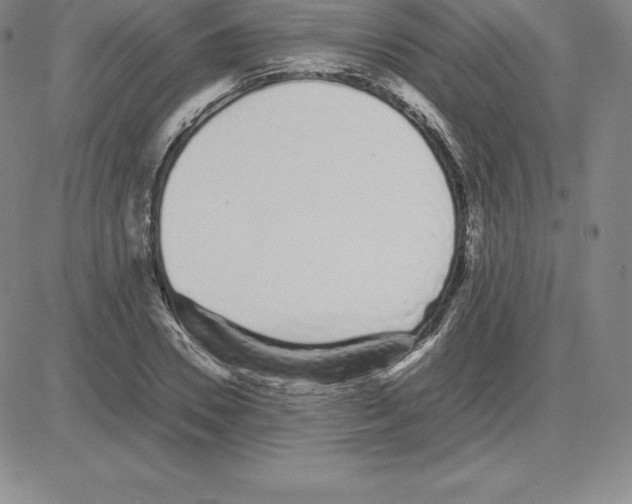 X0000080110930200701051326