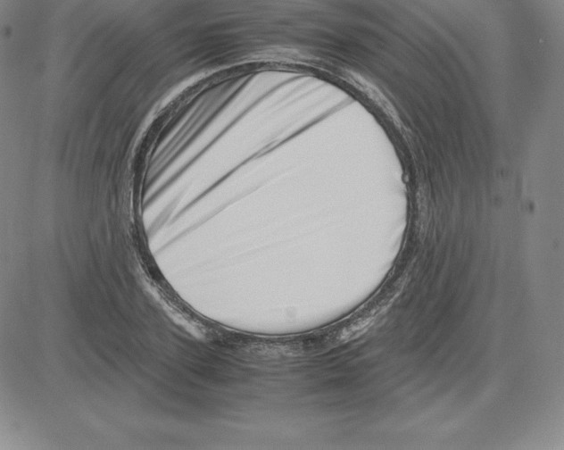 X0000080110931200701051326