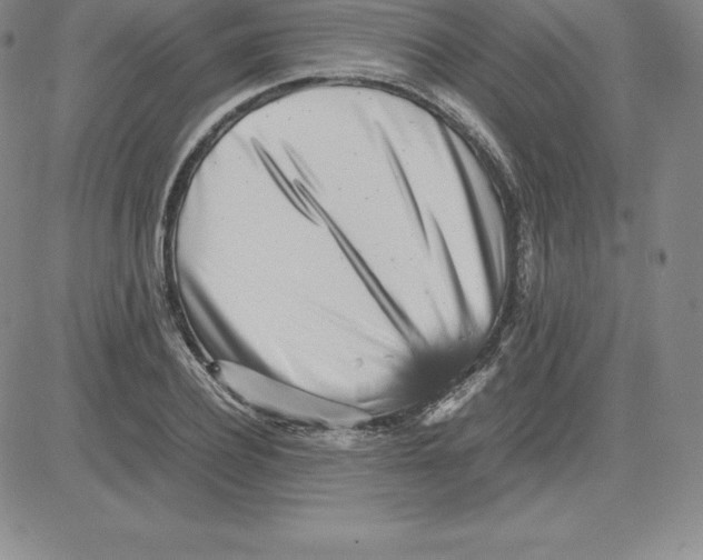 X0000080110932200701051326