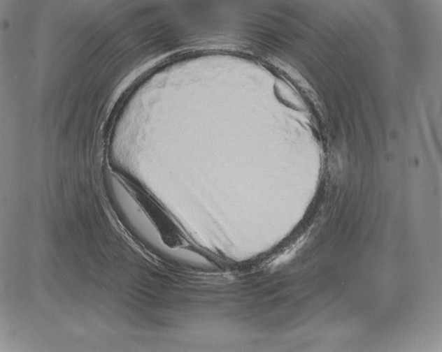 X0000080110933200701051326