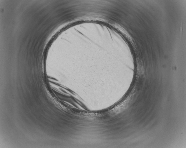 X0000080110934200701051326