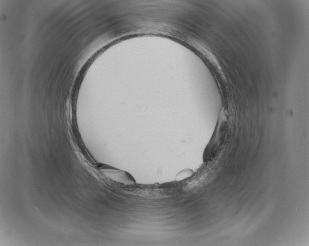 X0000080110936200701051326