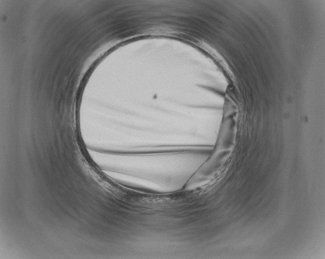 X0000080110939200701051326