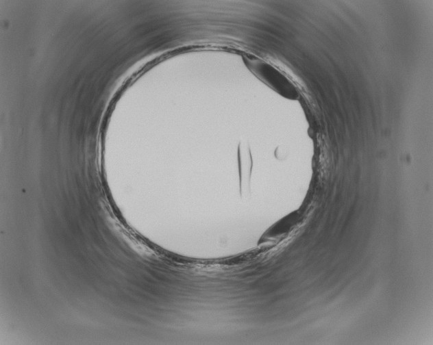 X0000080110940200701051326