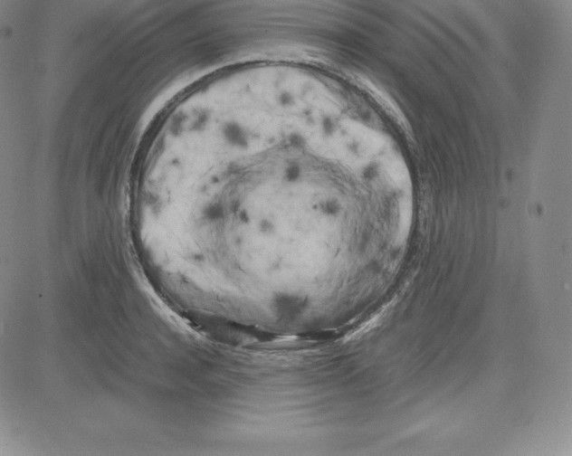 X0000080110944200701051326