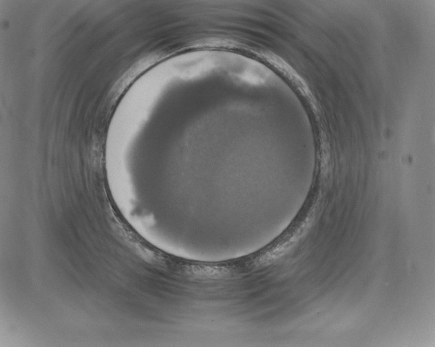 X0000080110945200701051326