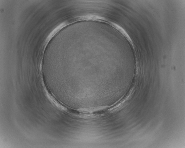 X0000080110946200701051326