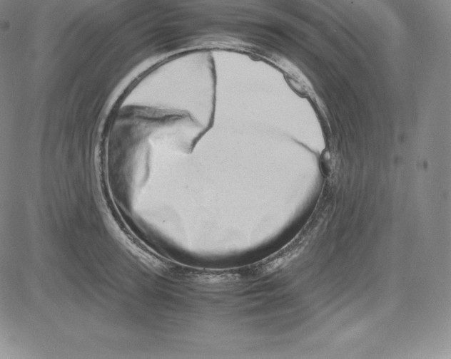 X0000080110947200701051326