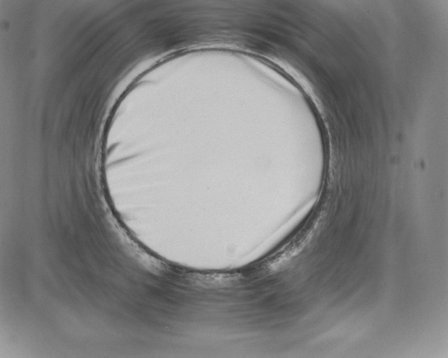 X0000080110949200701051326