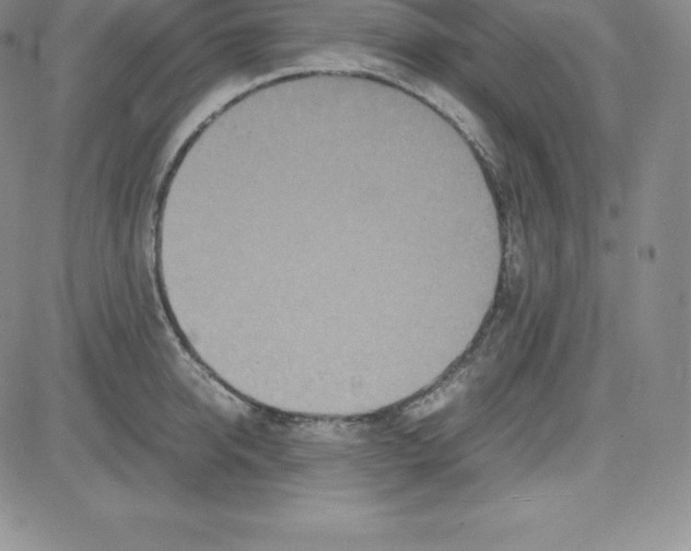 X0000080110950200701051326