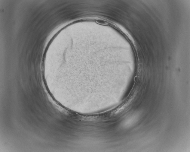 X0000080110951200701051326