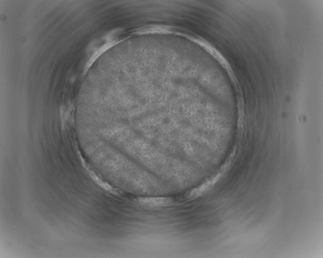 X0000080110953200701051326