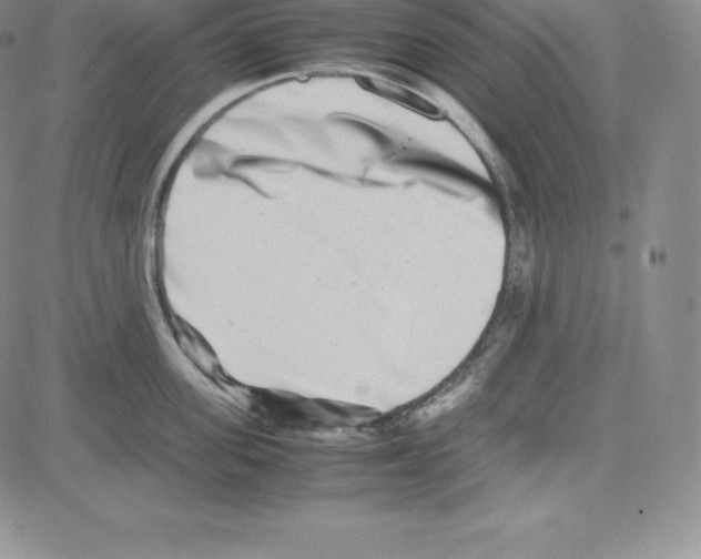 X0000080110955200701051326