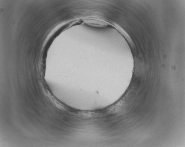 X0000080110956200701051326