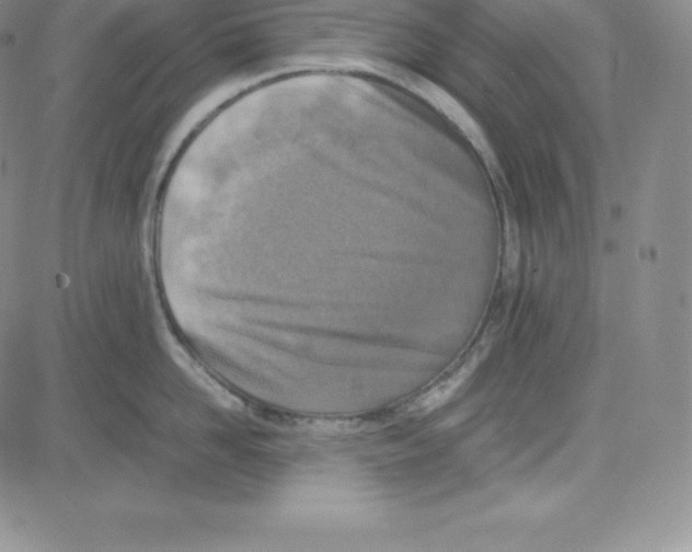 X0000080110958200701051326