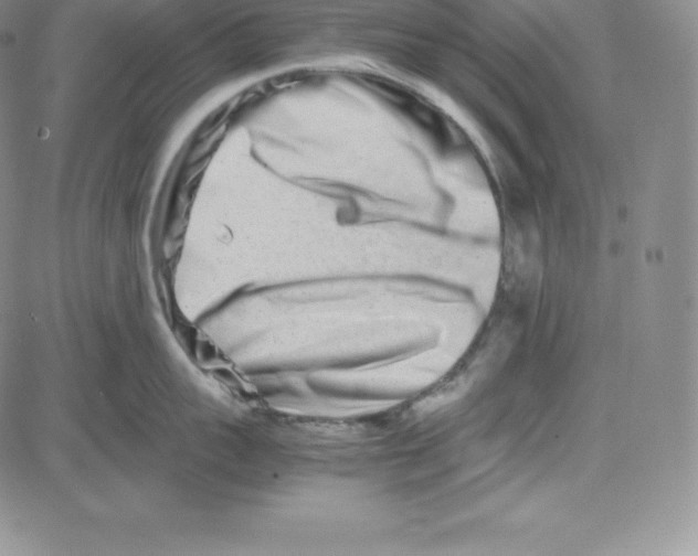 X0000080110959200701051326