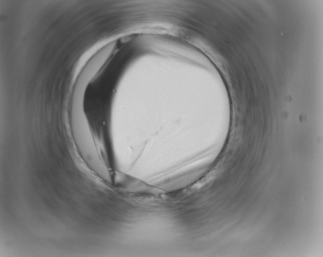 X0000080110960200701051326