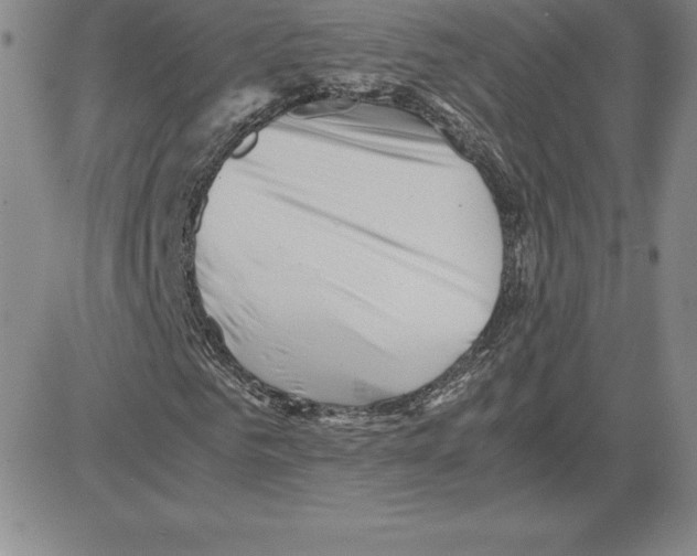 X0000080110961200701051325