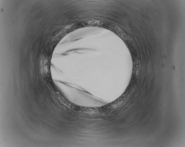 X0000080110962200701051325