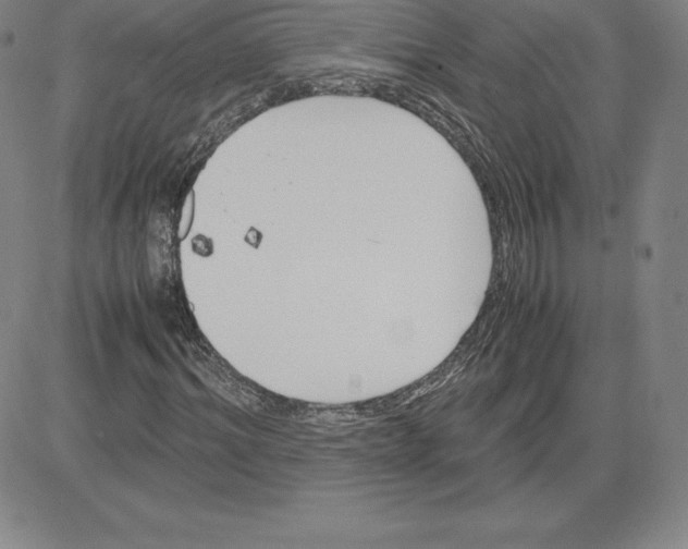 X0000080110964200701051325