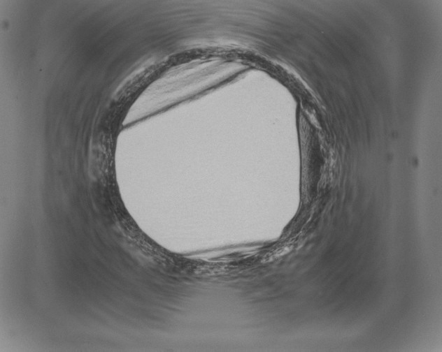 X0000080110967200701051325