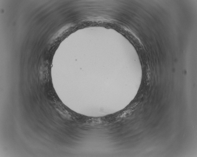 X0000080110968200701051325