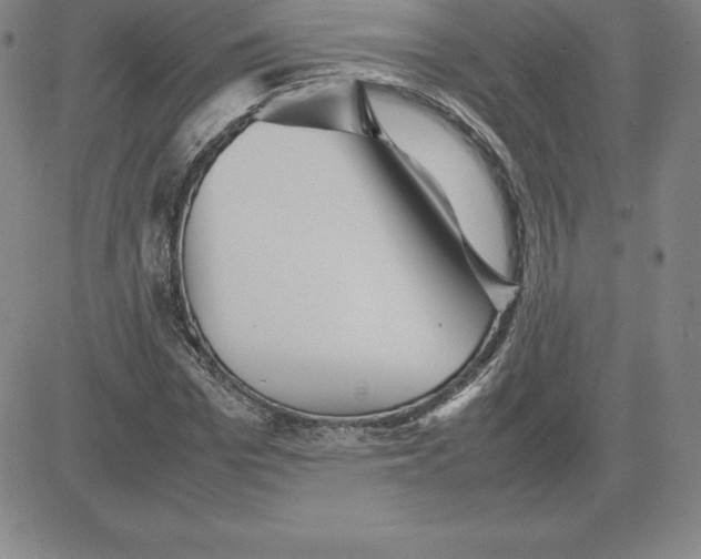 X0000080110969200701051325