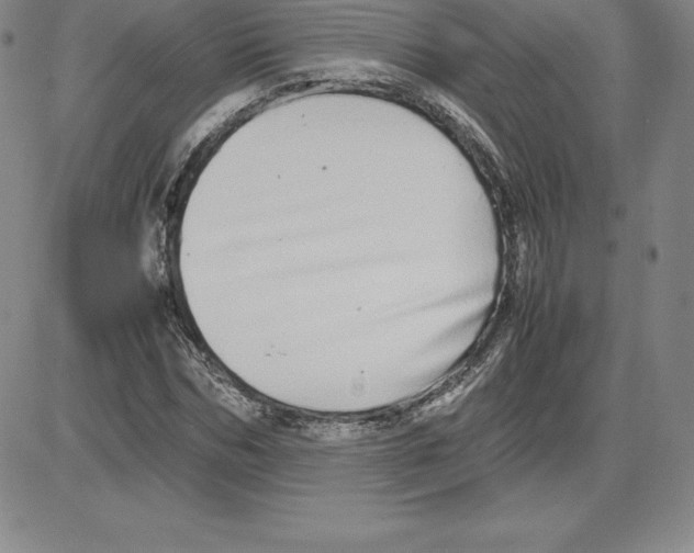 X0000080110970200701051325