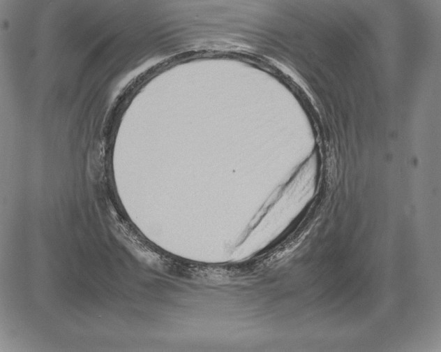 X0000080110971200701051325