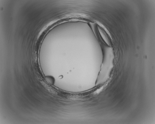 X0000080110973200701051325