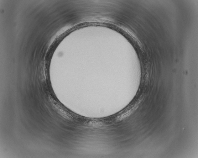 X0000080110974200701051325