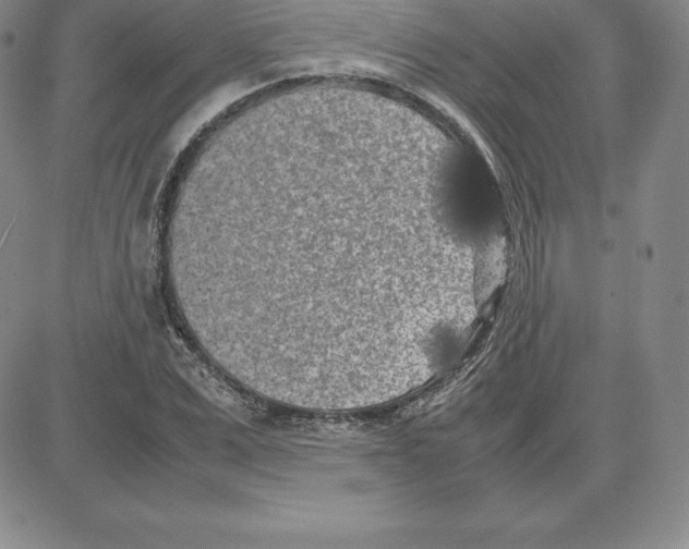 X0000080110975200701051325